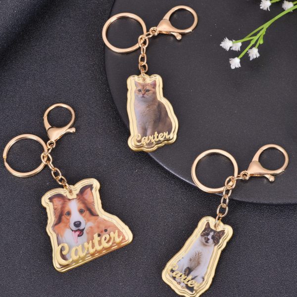 Personalized Colorful Acrylic Pet Photo Keychain Supply