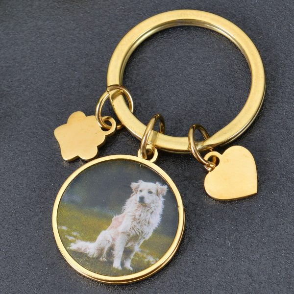 Personalized Round Pendant Colorful Pet Photo Keychain on Sale - Image 2